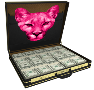 gallery/puuma salkussa