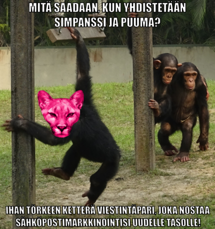 gallery/simp-puumaristetys-teksti